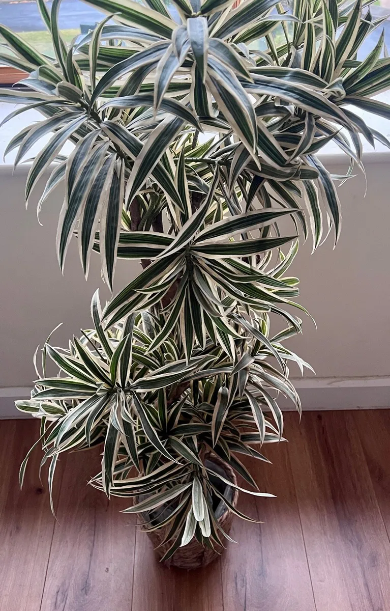 Artificial plant - Image 2