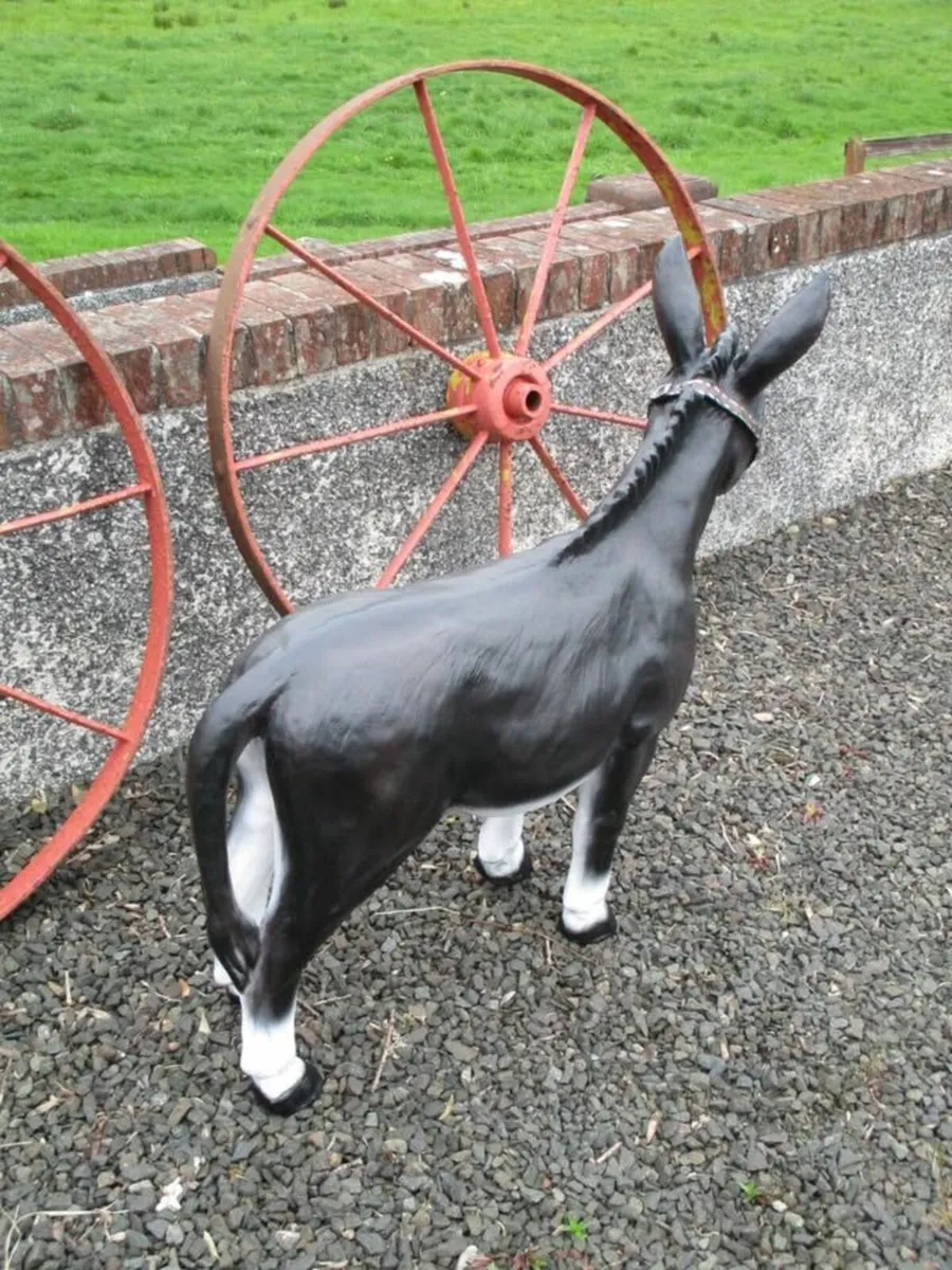 Large Fibreglass Black Donkey - Image 3