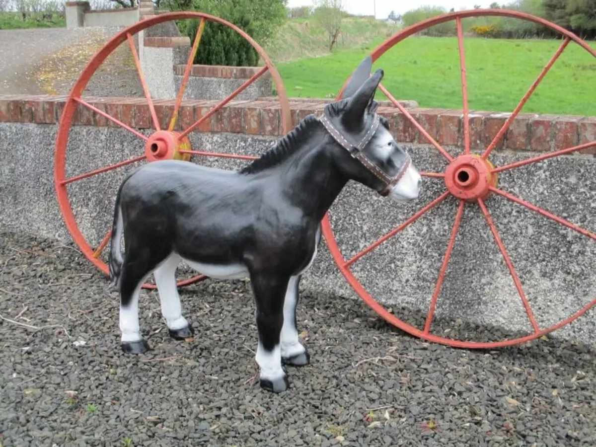 Large Fibreglass Black Donkey - Image 2