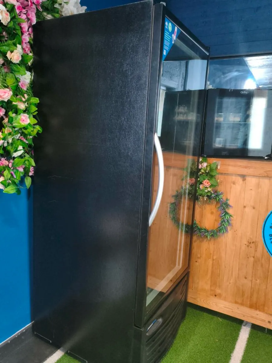 Commercial fridge minus forty - Image 4