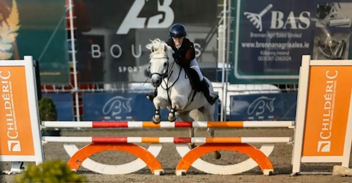 138 Connemara Pony - looking for new home - - Image 1