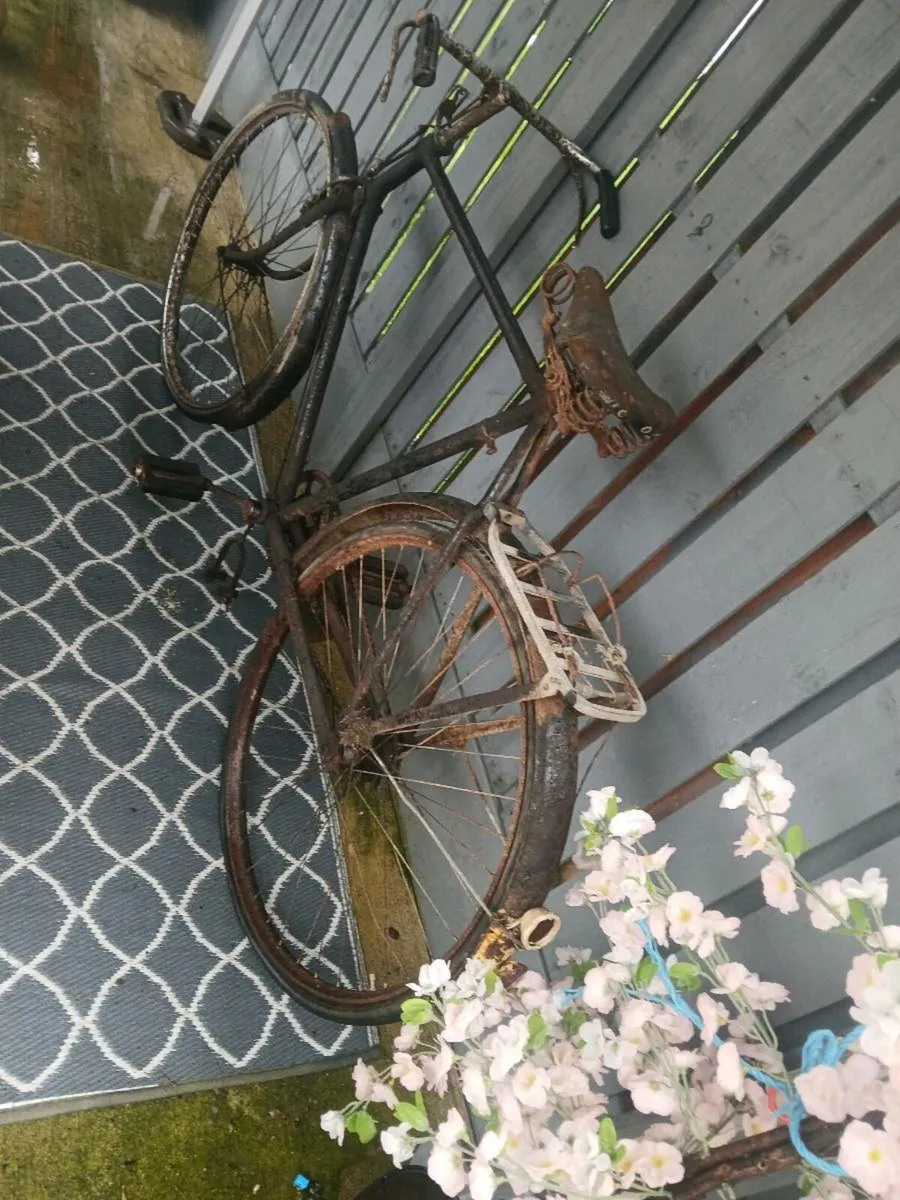 high nelly bike - Image 1