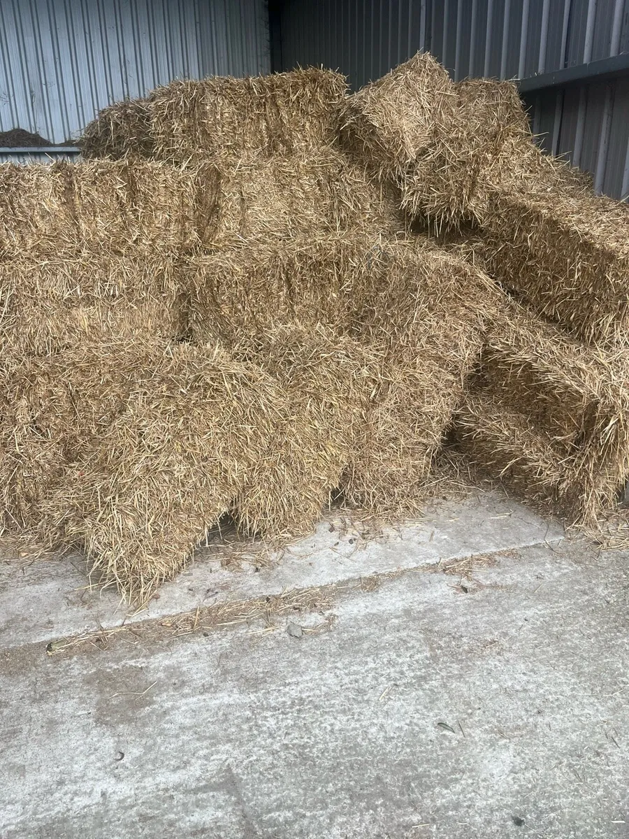 Small square bales
