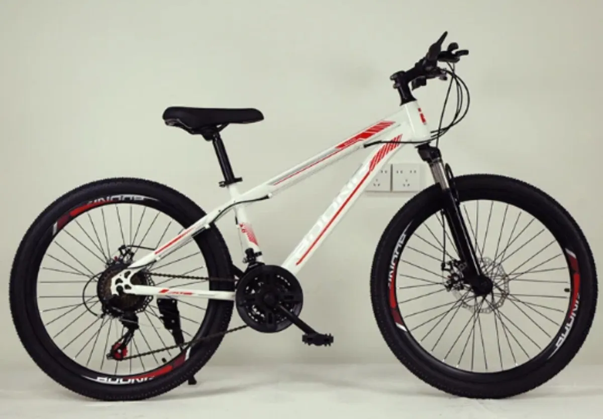 Free Delivery - 24 inch Disc Brake Kids Bikes - Image 2