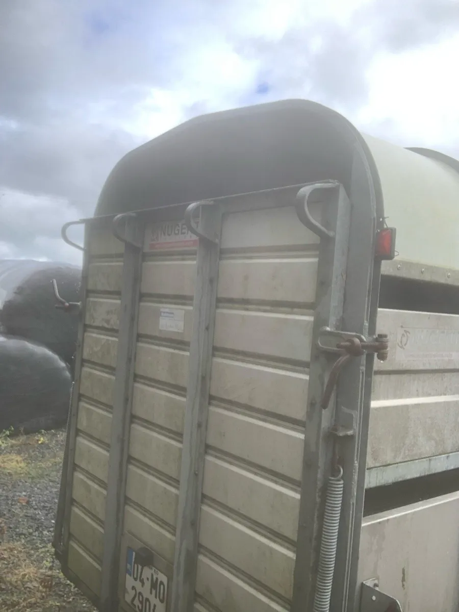 Cattle trailer - Image 4