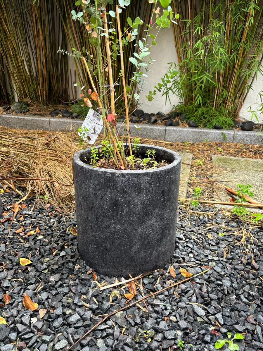 Planters - Image 3