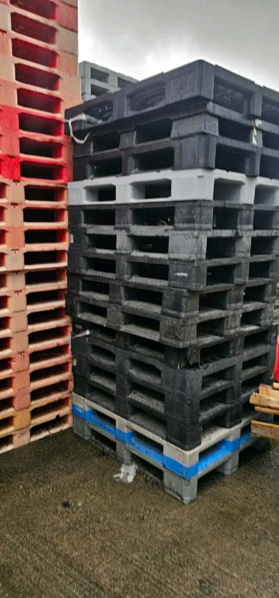 Plastic pallets - Image 1