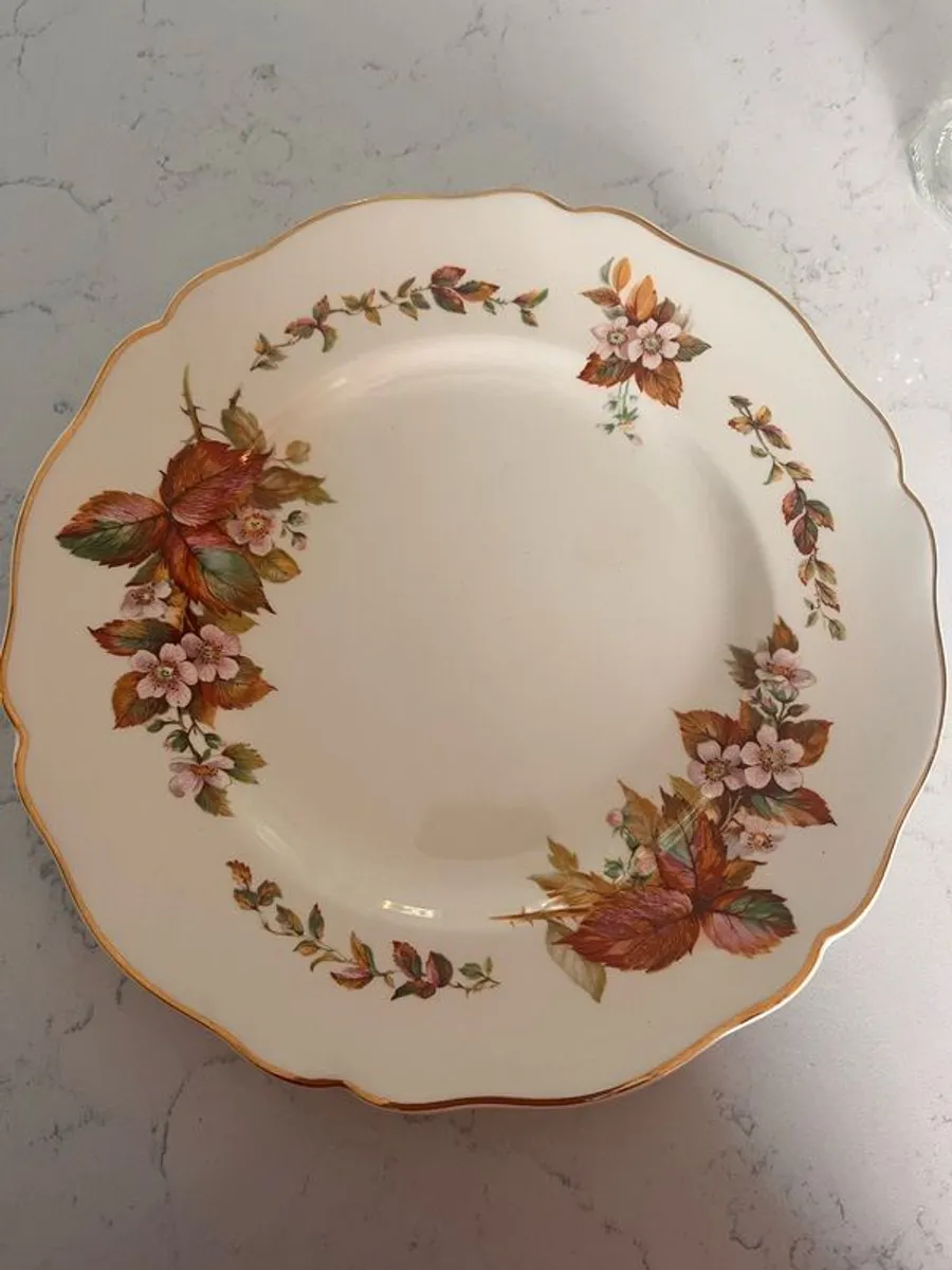 Vintage Royal Daulton dinner Plates X 2 - Image 1