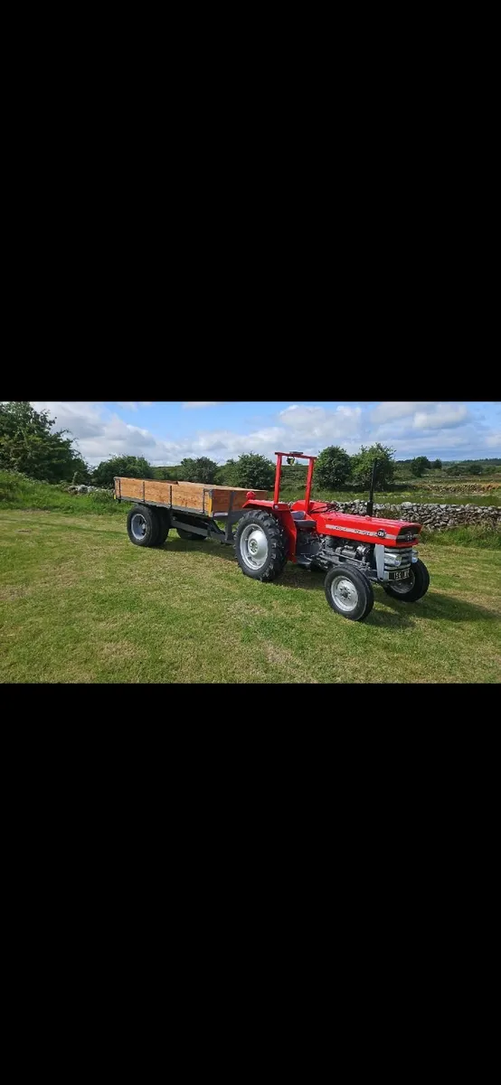 Massey Ferguson 135 - Image 2