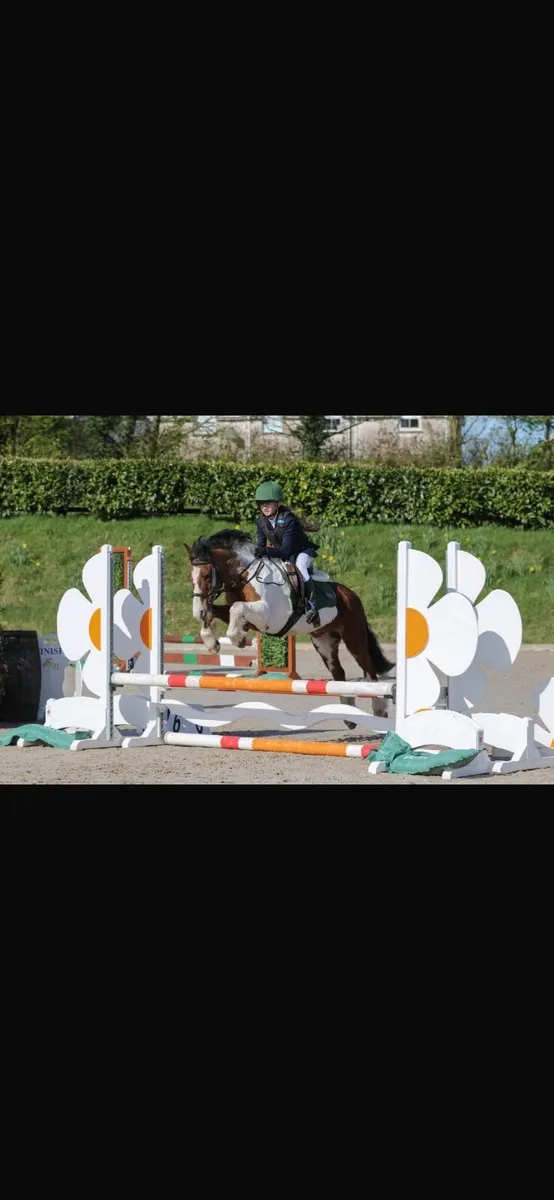 128 cm Pony - Image 1