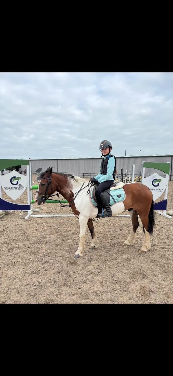128 cm Pony - Image 3