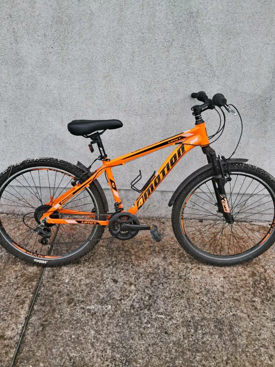 Bicycle - Image 1