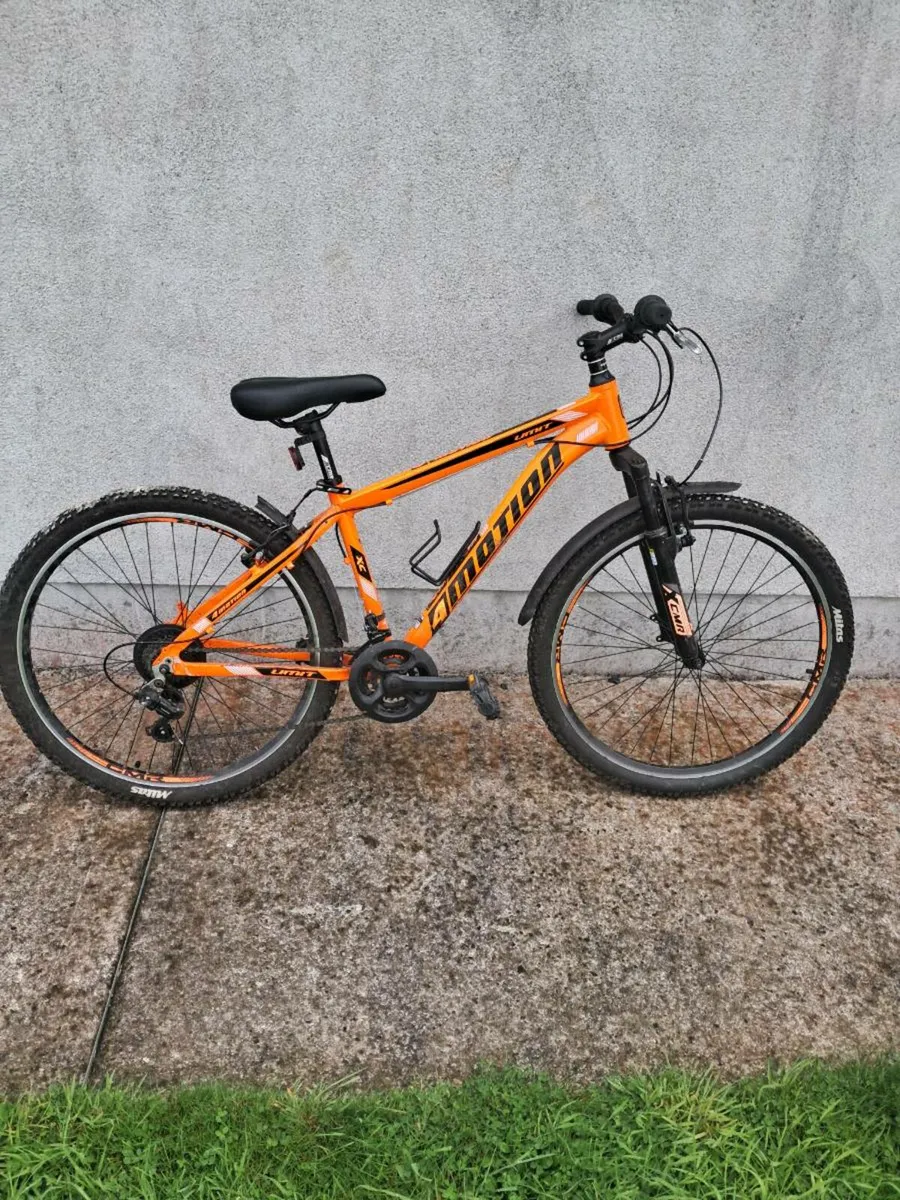 Bicycle - Image 2