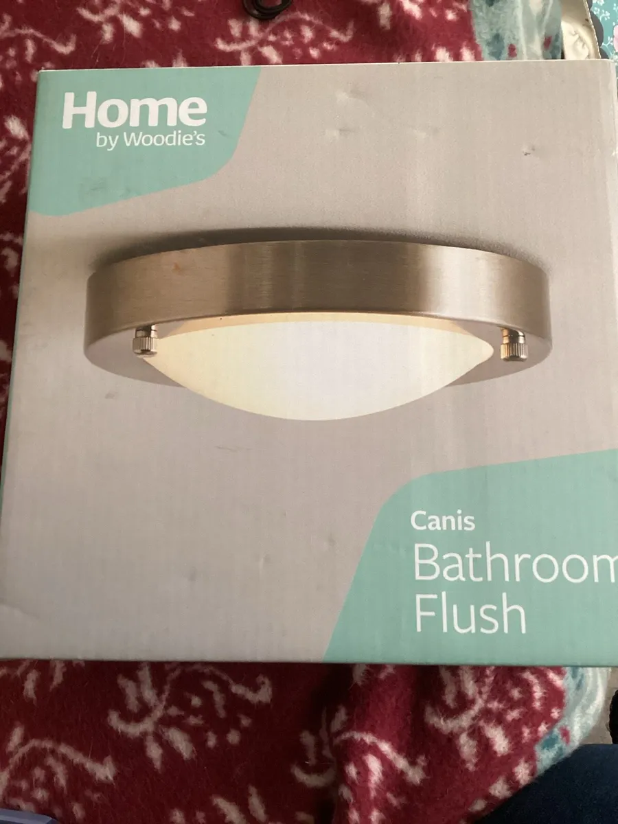 Bathroom Ceiling Light open to offers - Image 1