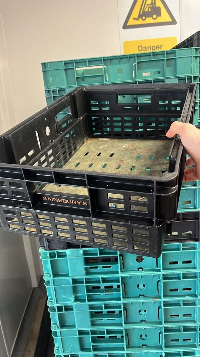 FREE Plastic Crates - Image 2