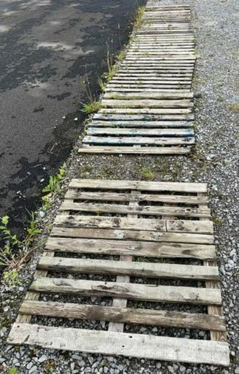 Timber Trays