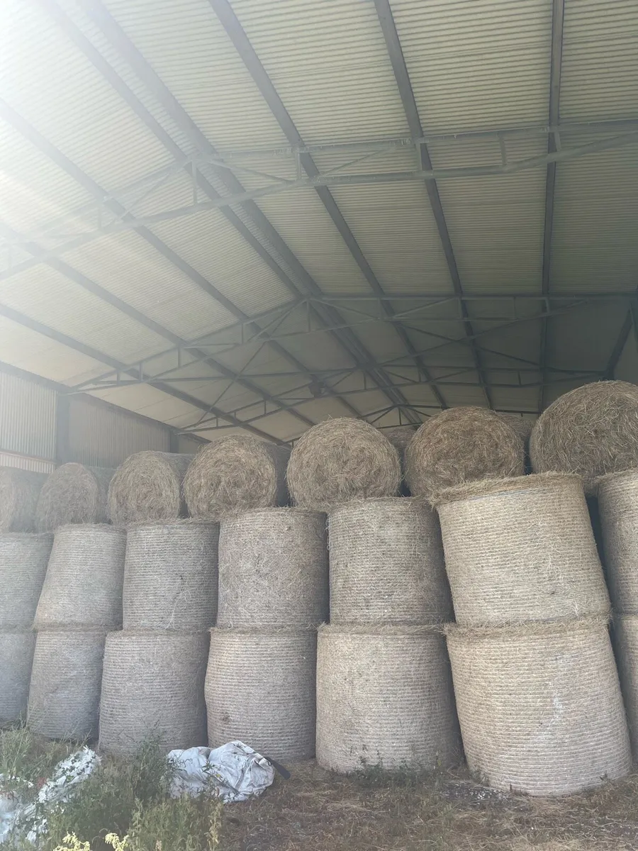 Hay