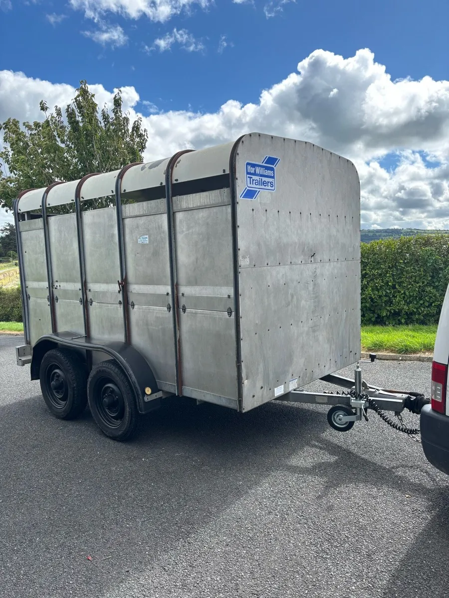 10x6 ifor Williams cattle box - Image 1