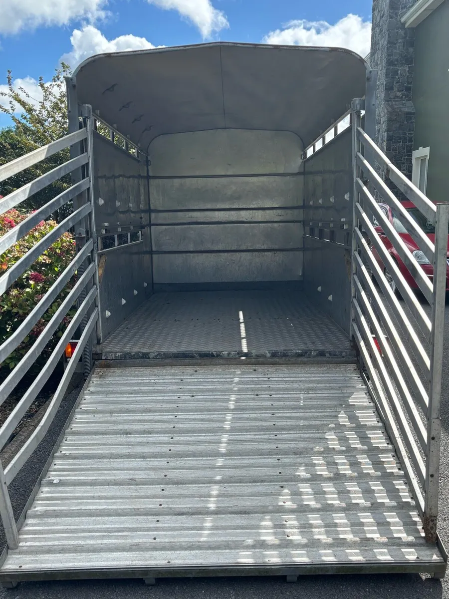 10x6 ifor Williams cattle box - Image 3