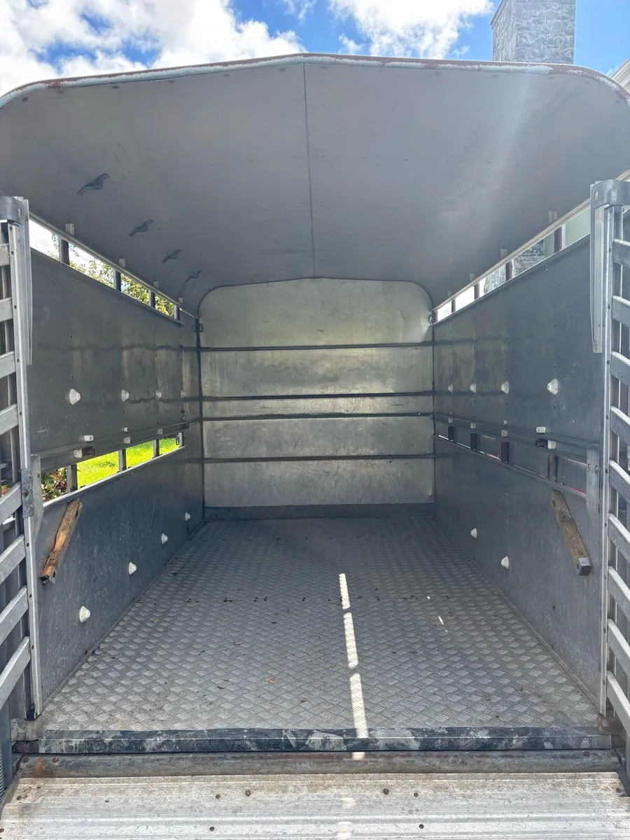 10x6 ifor Williams cattle box - Image 4