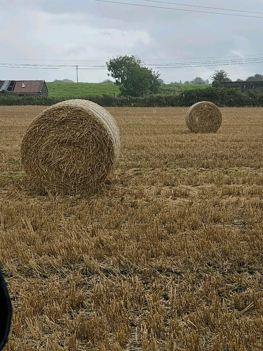 Straw - Image 1