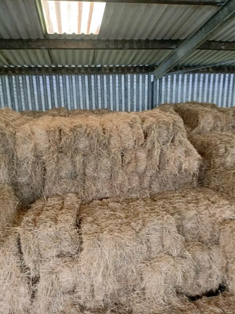 Square and Round Bales of Hay