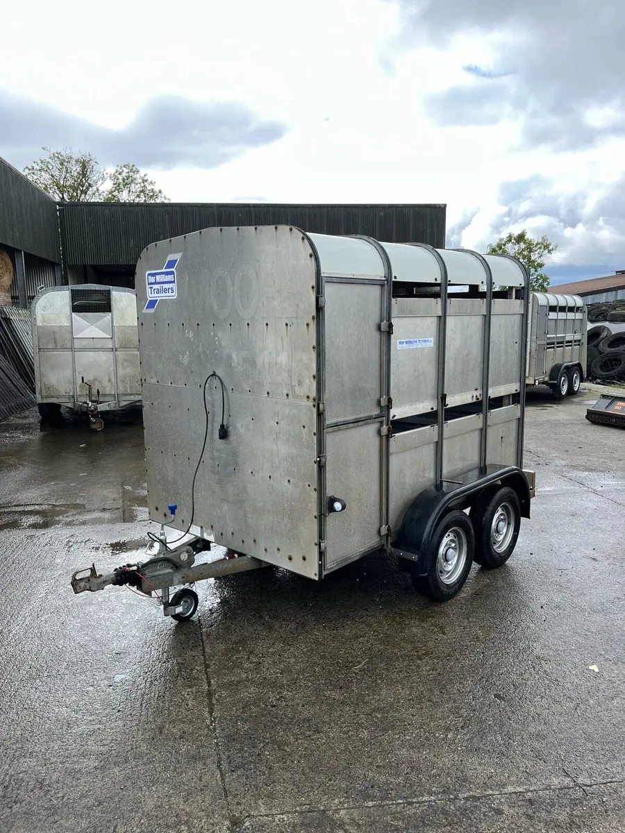 CJS Ifor Williams Livestock Trailer - Image 3