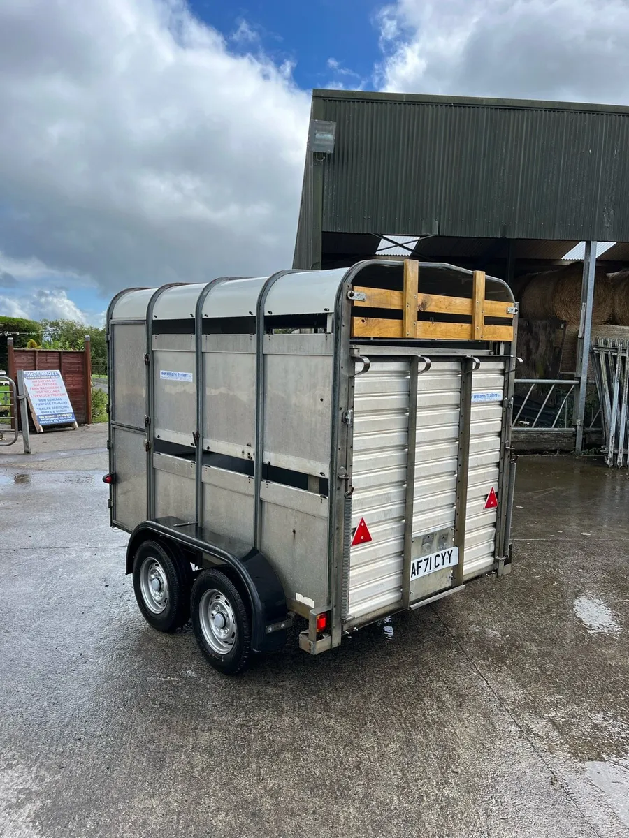 CJS Ifor Williams Livestock Trailer - Image 4