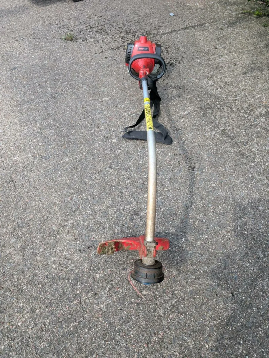 Strimmer - Image 2