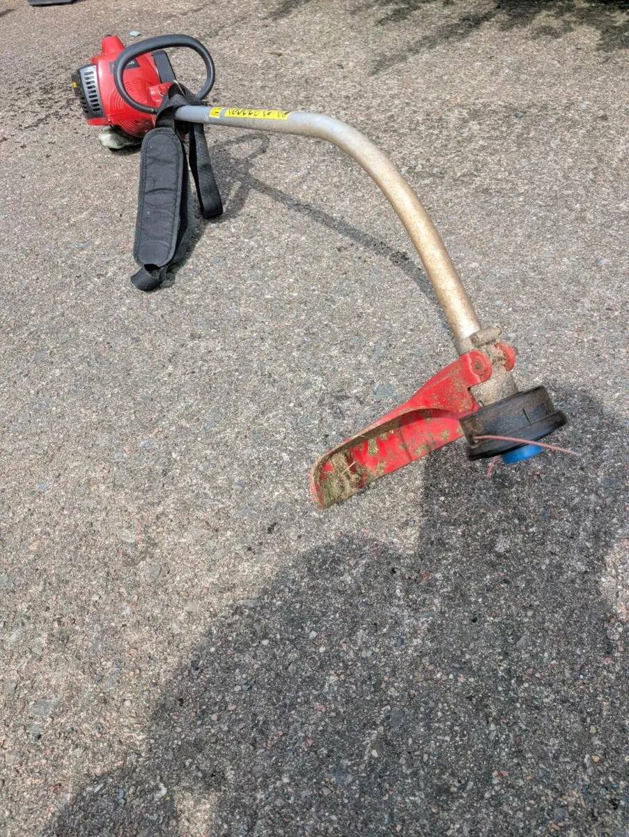 Strimmer - Image 4