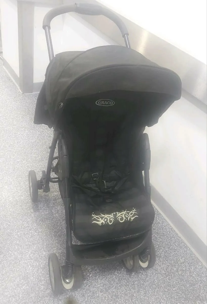Buggy - Image 1