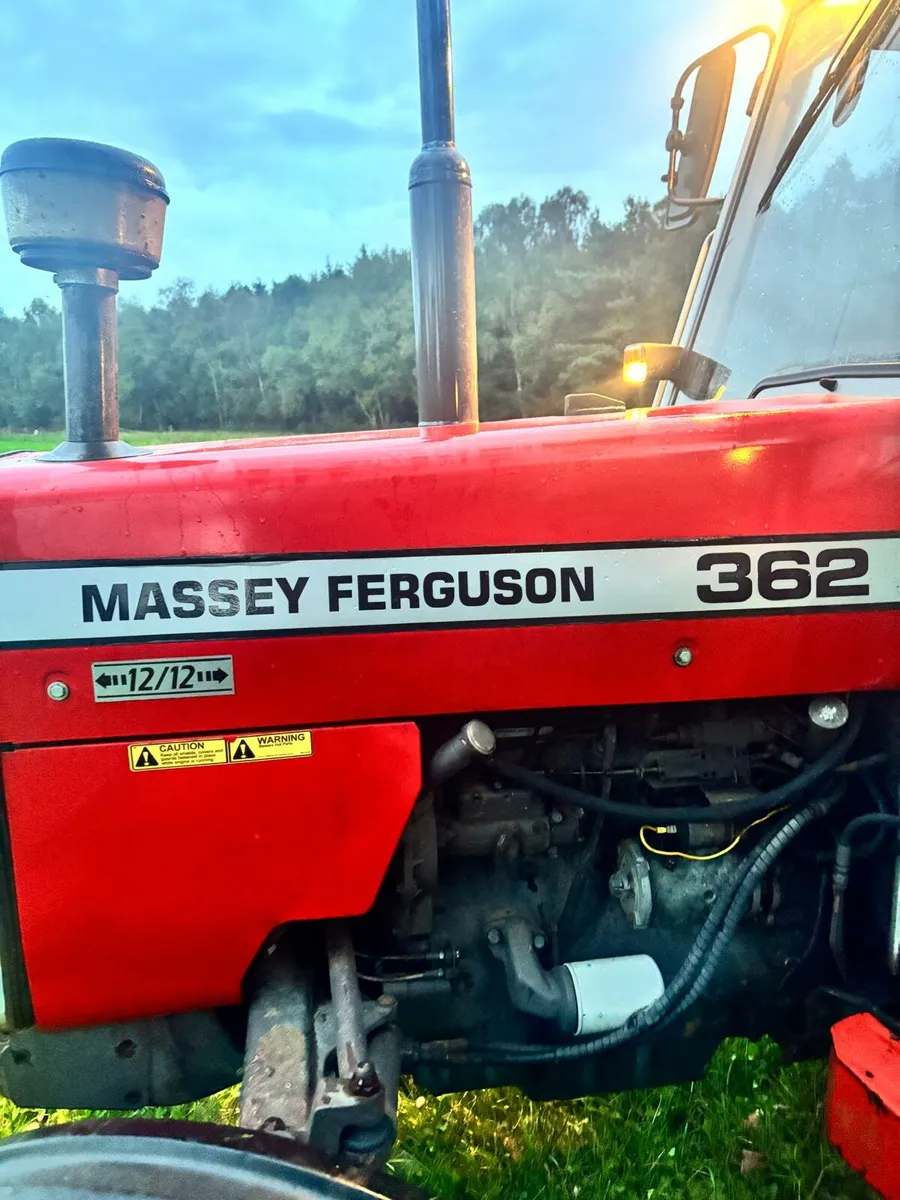 Massey ferguson - Image 2