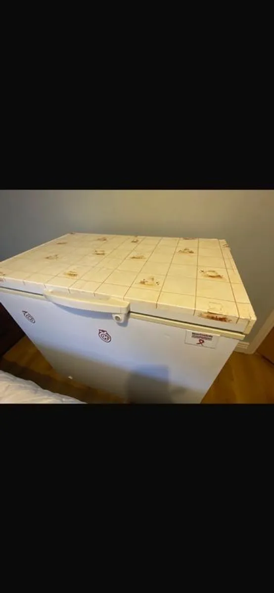 fridge and freezer - Image 1