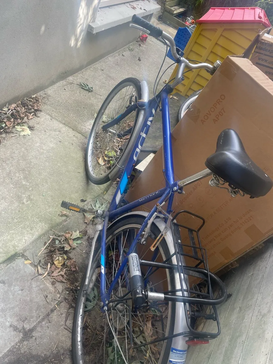 Bike - Image 1