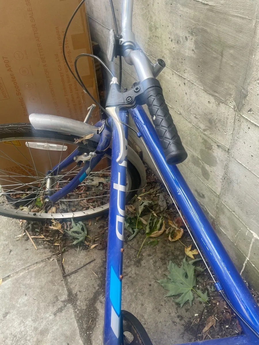 Bike - Image 2