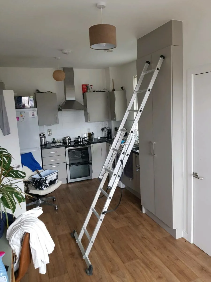Ladder/ stepladder - Image 3
