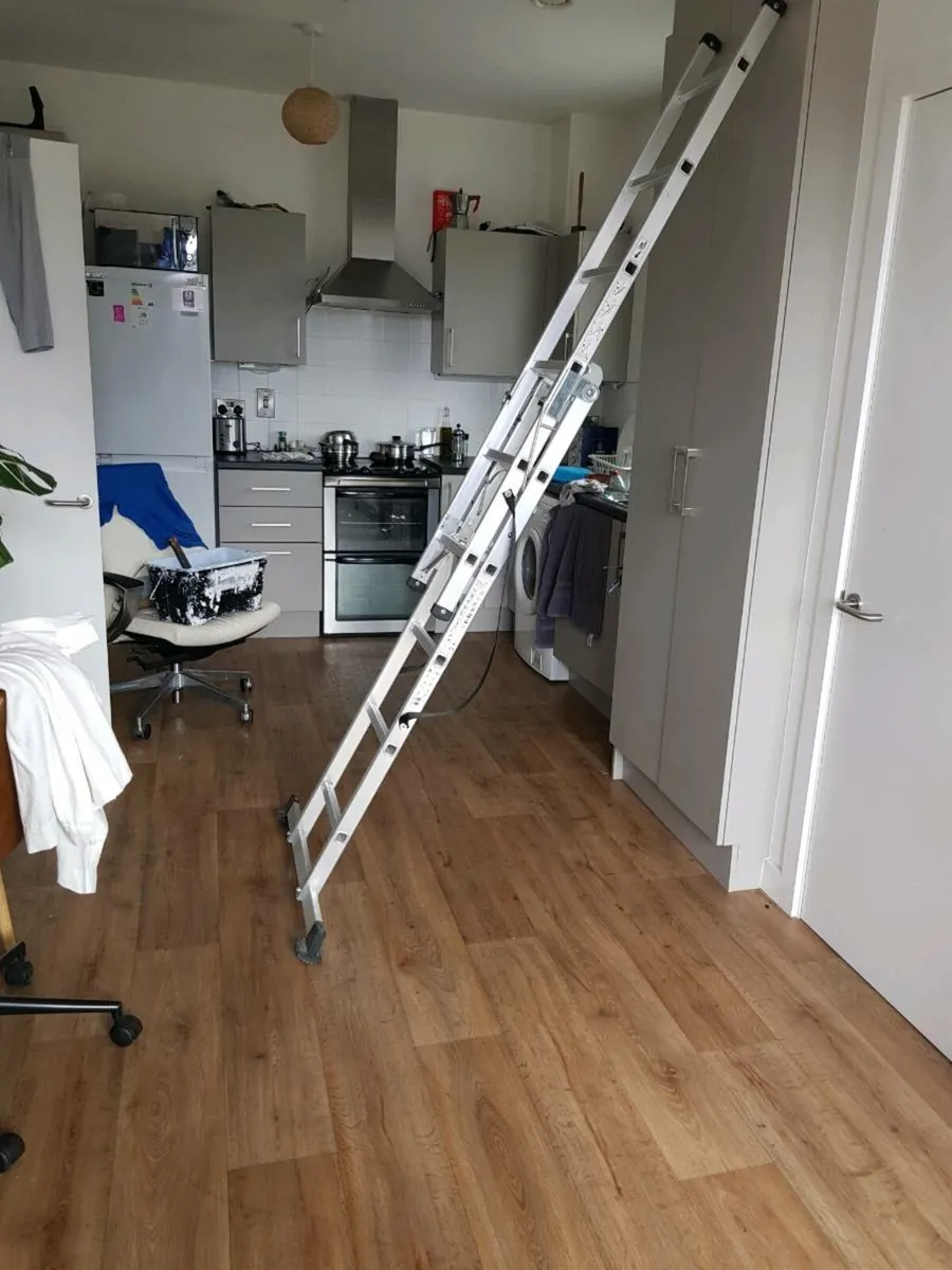 Ladder/ stepladder - Image 4