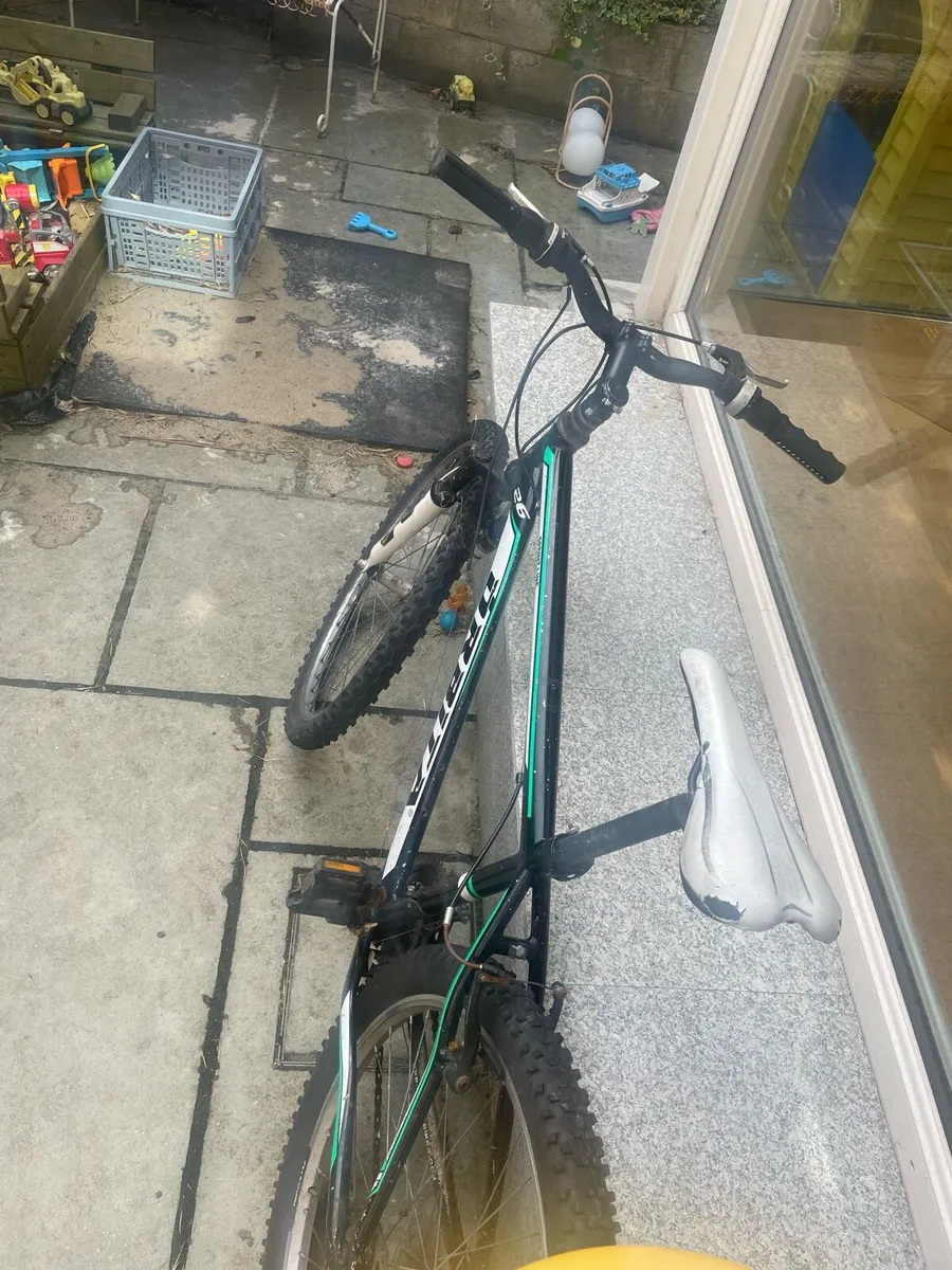 Bike - Image 1