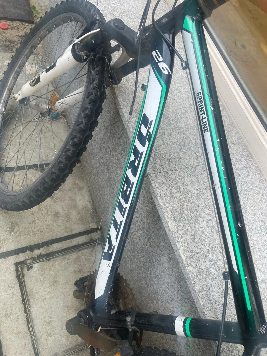 Bike - Image 2