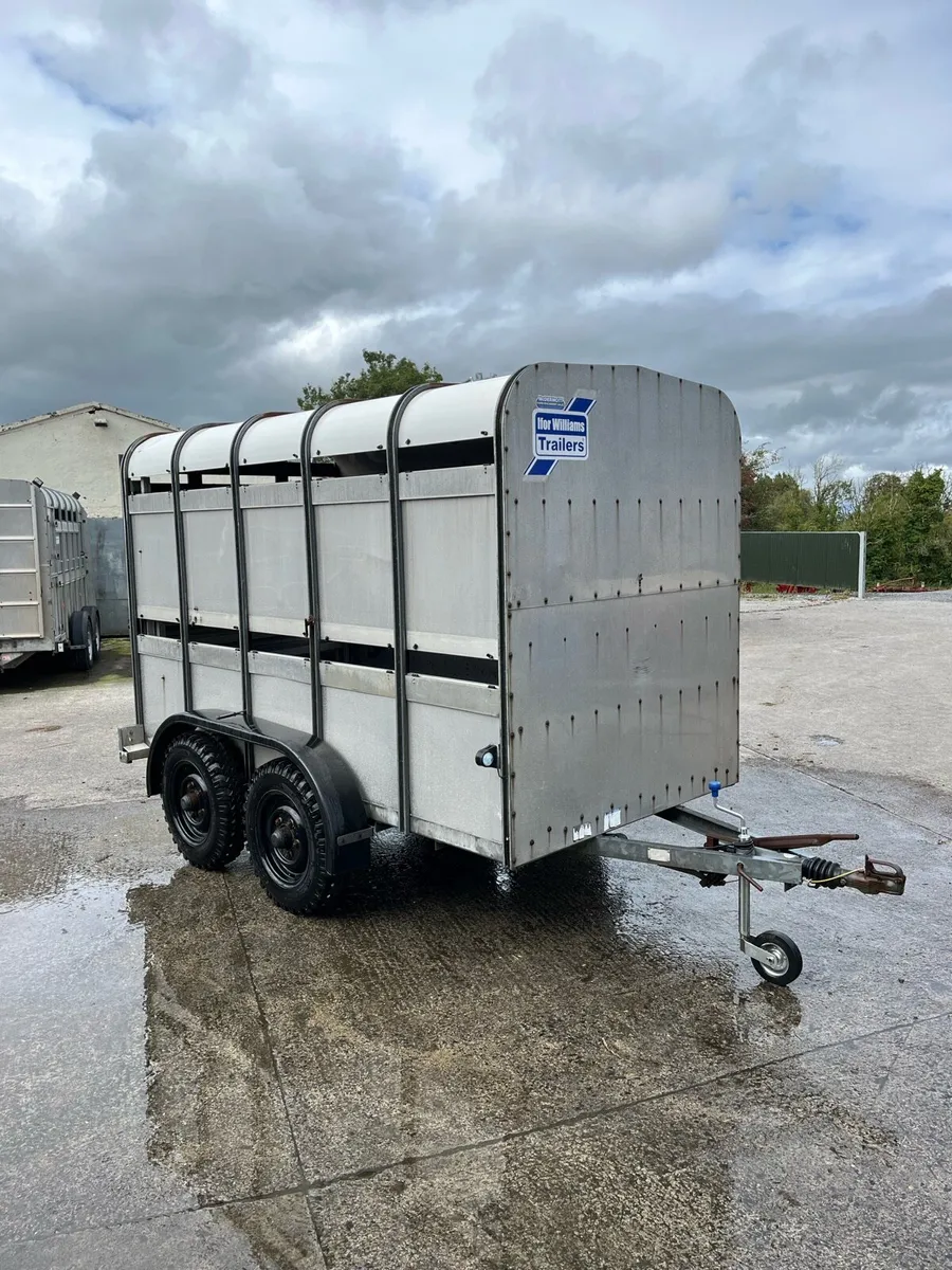 CJS Ifor Williams Livestock Trailer - Image 1
