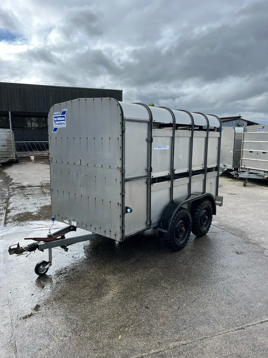 CJS Ifor Williams Livestock Trailer - Image 2