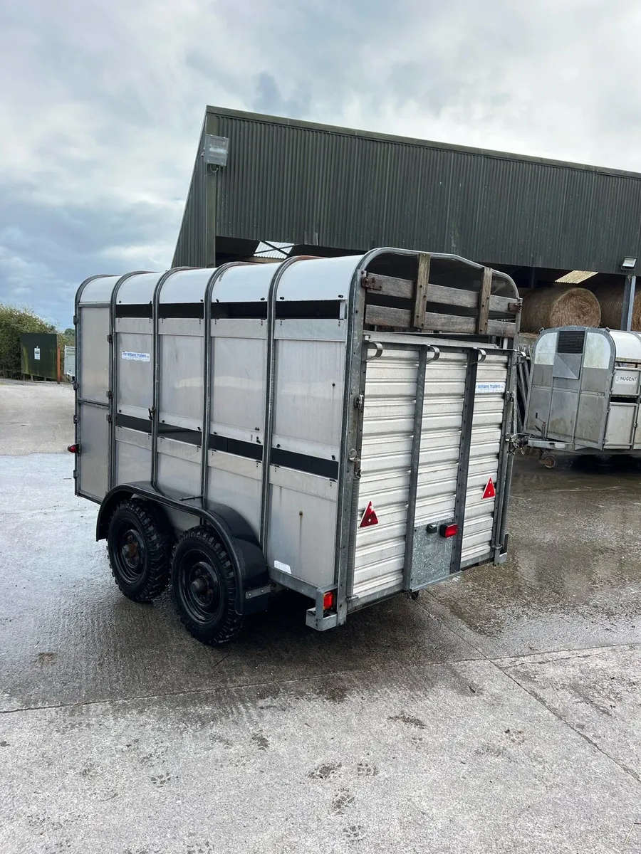 CJS Ifor Williams Livestock Trailer - Image 3