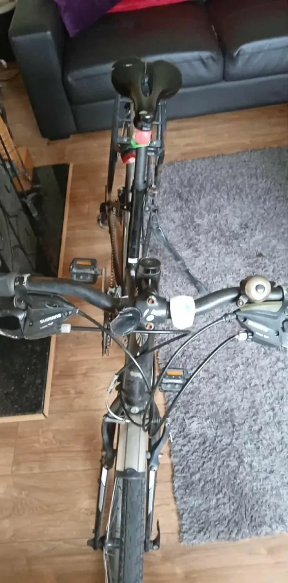 Adult's Bike TREK - Image 2