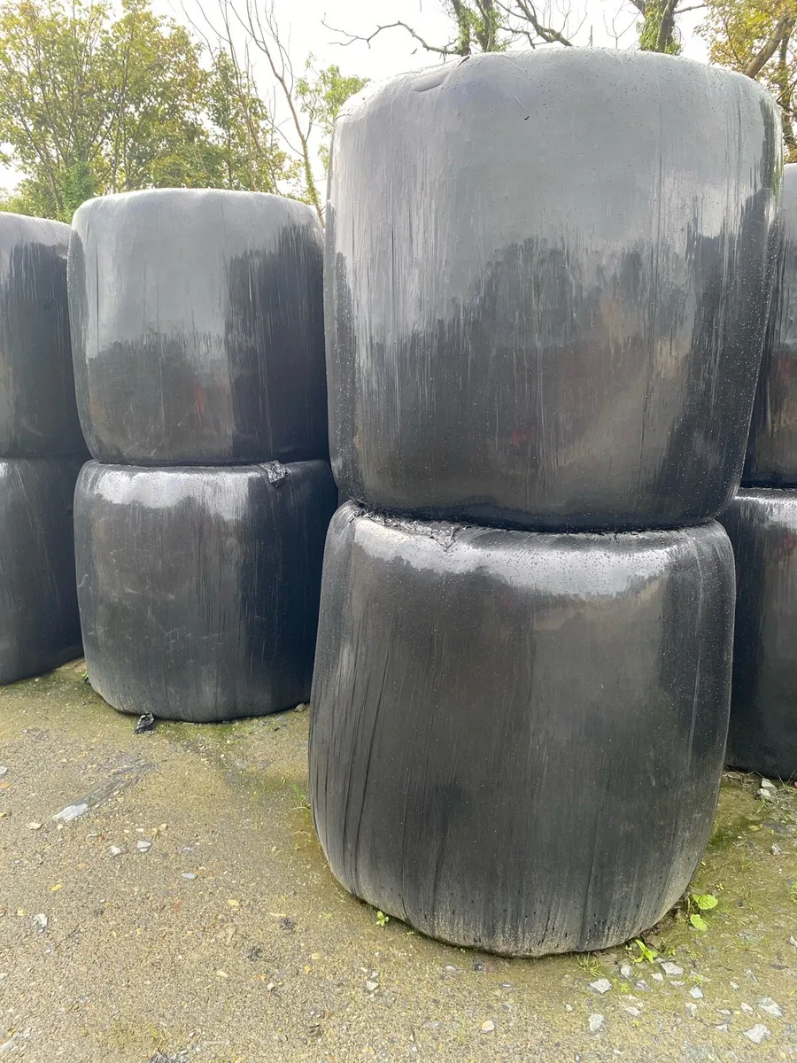 Haylage