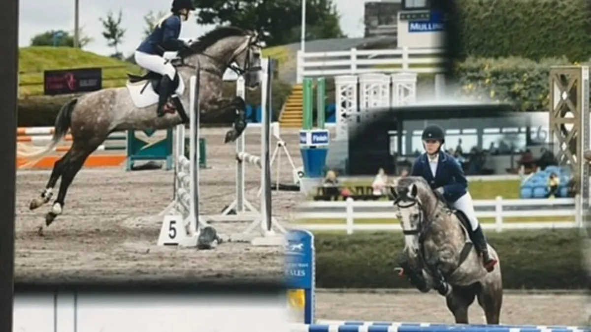 Horse - Image 2