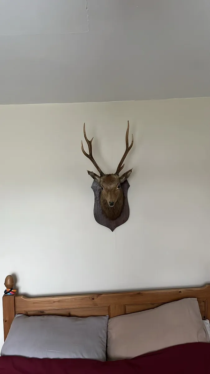 Stag piece