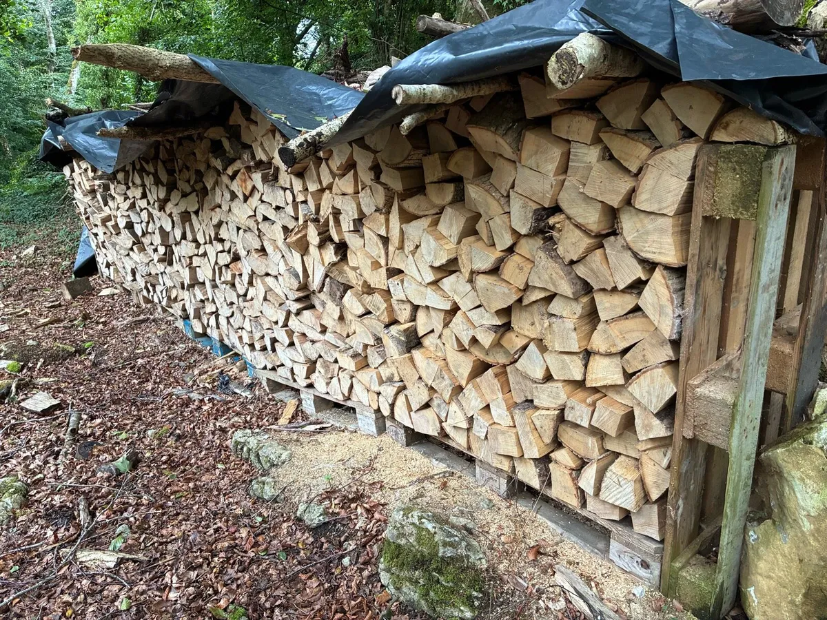 Seasoned Firewood - Image 1