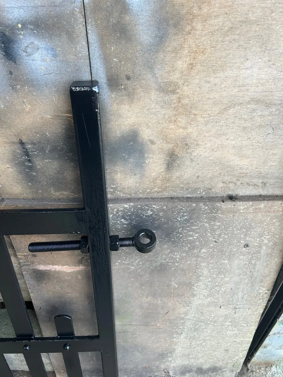 Entrance Gates - Image 4