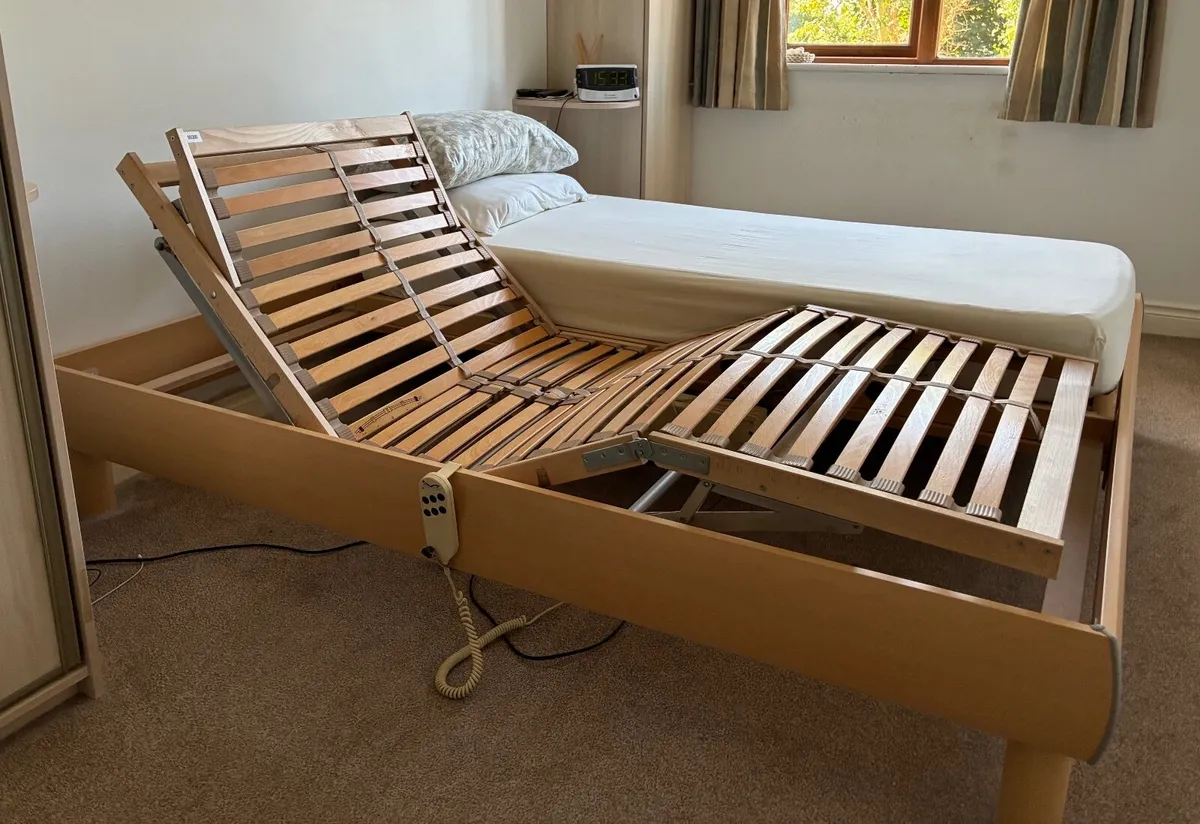 Electric Kingaize Bed - Image 1