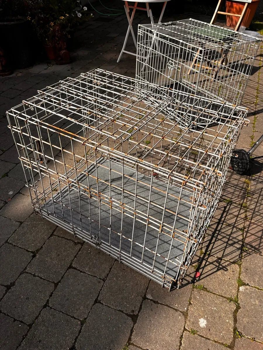 Dog Crates - Image 1